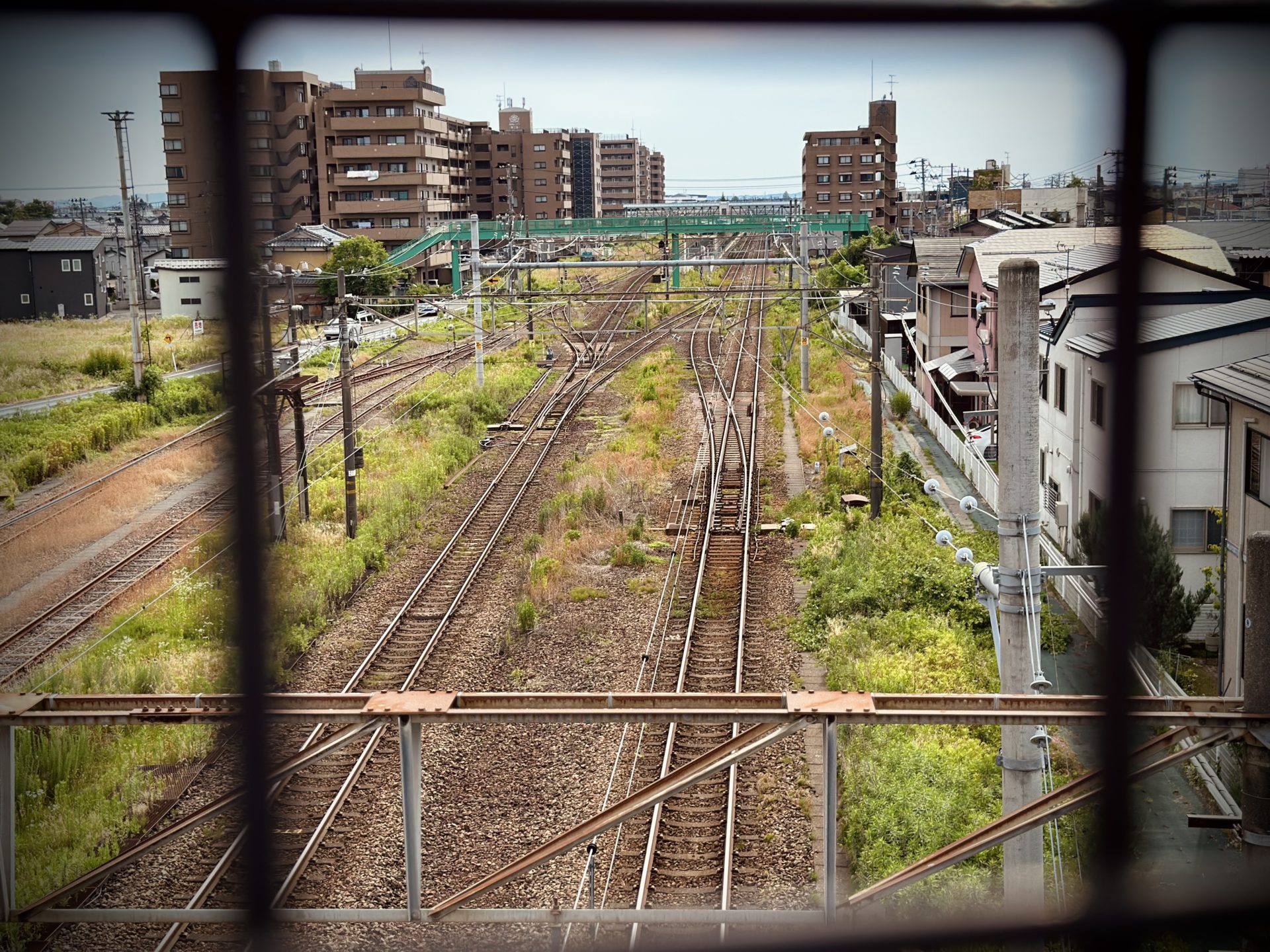 14日目 その2 三条ふたたび そして悲劇は起こった